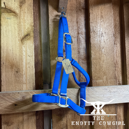 Blue Cob WRH Halter