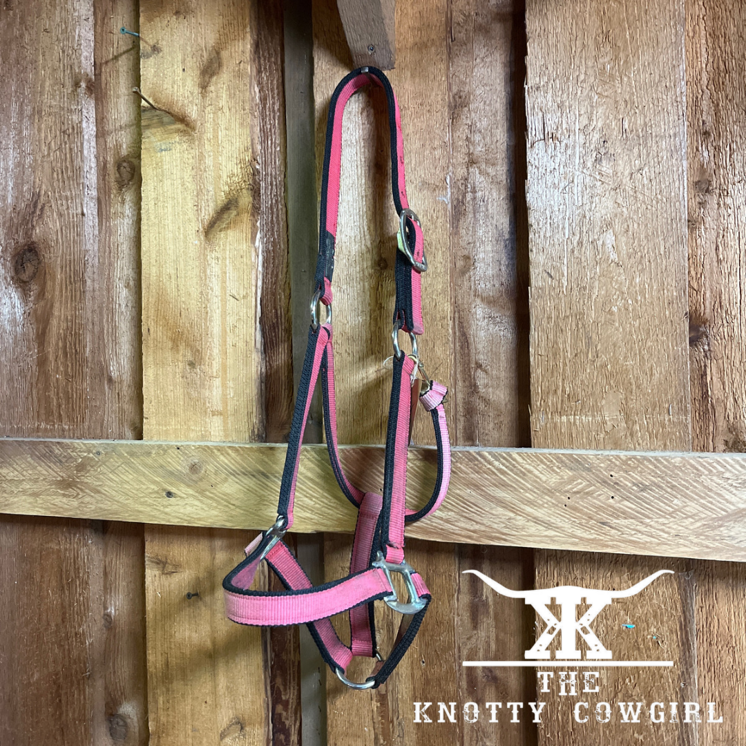 Red Burwash Lrg Horse Halter