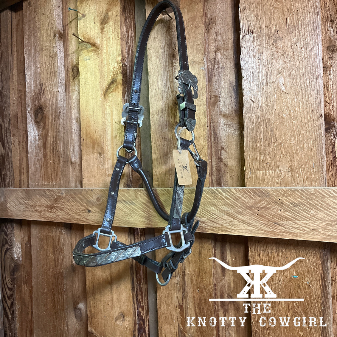 Western Silver Show Halter