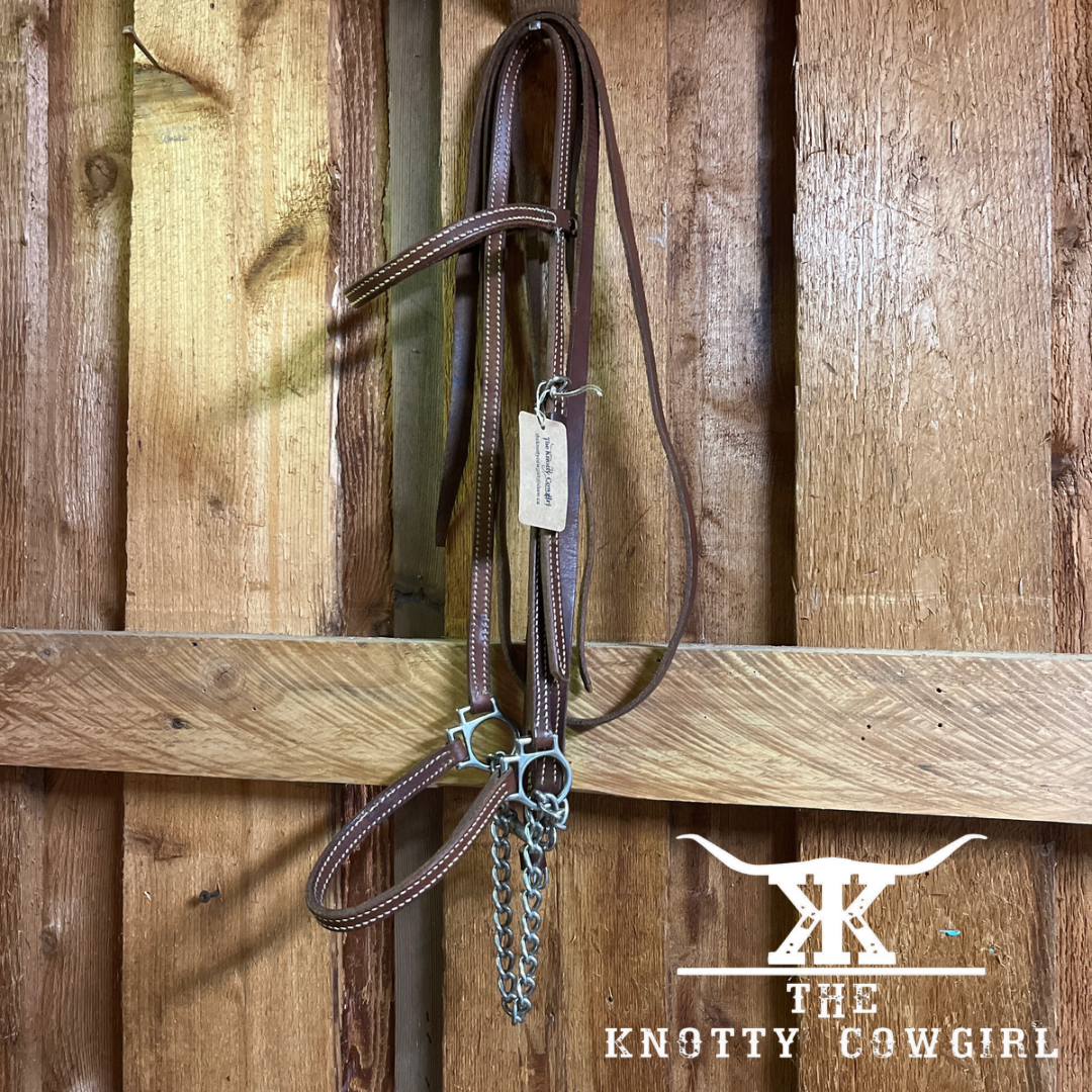 THIN SHOW HALTER WITH CHAIN LEAD