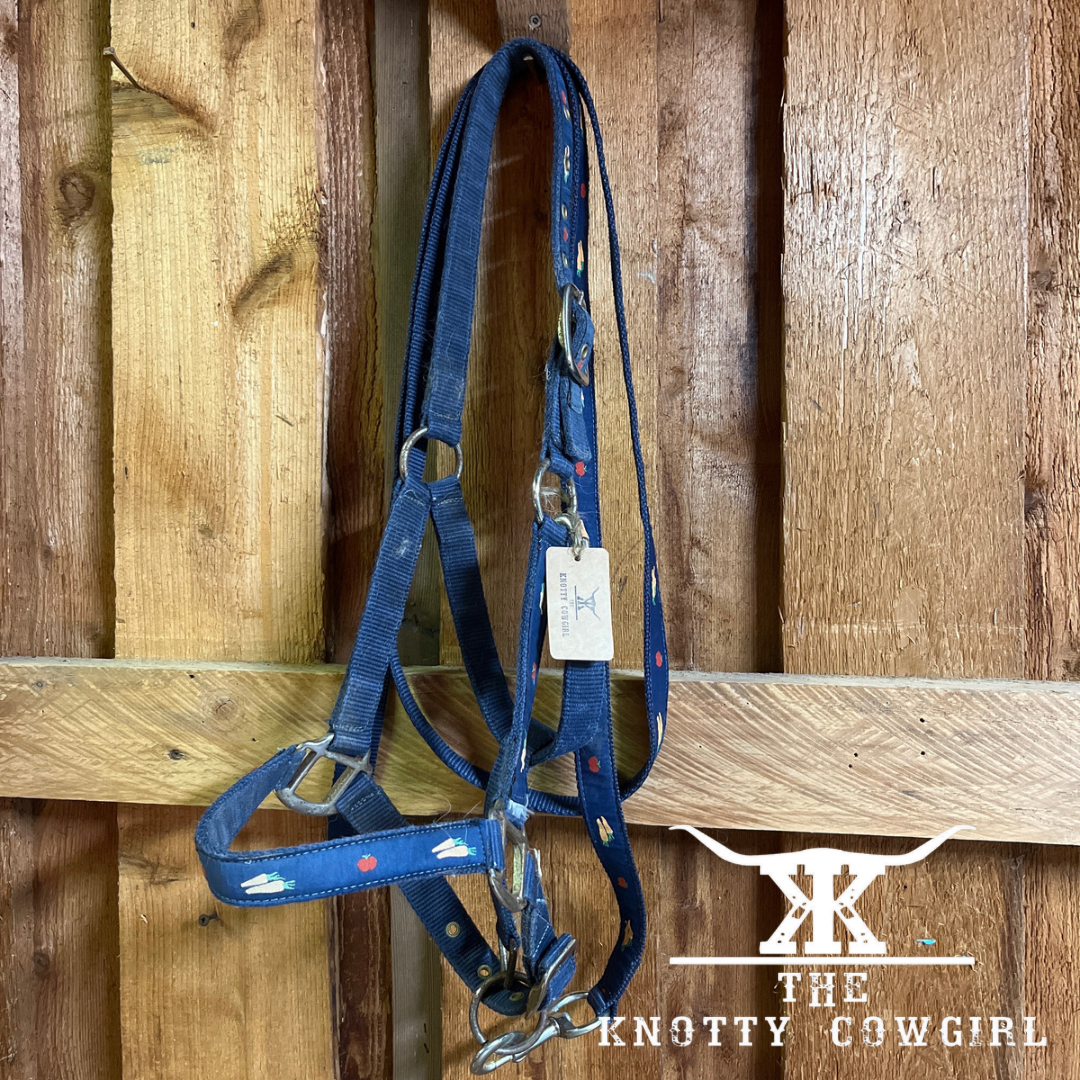 Navy Carrot Halter w Lead