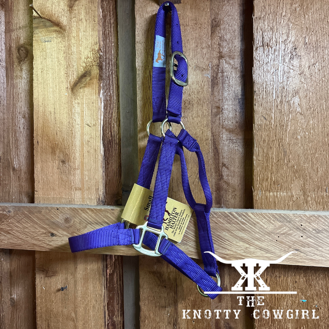 Purple Hamilton Halter