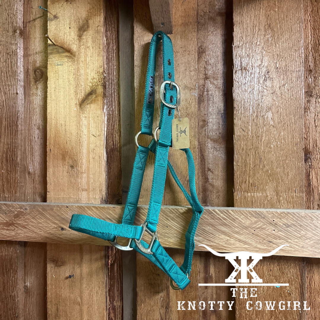 Big D Green  Halter