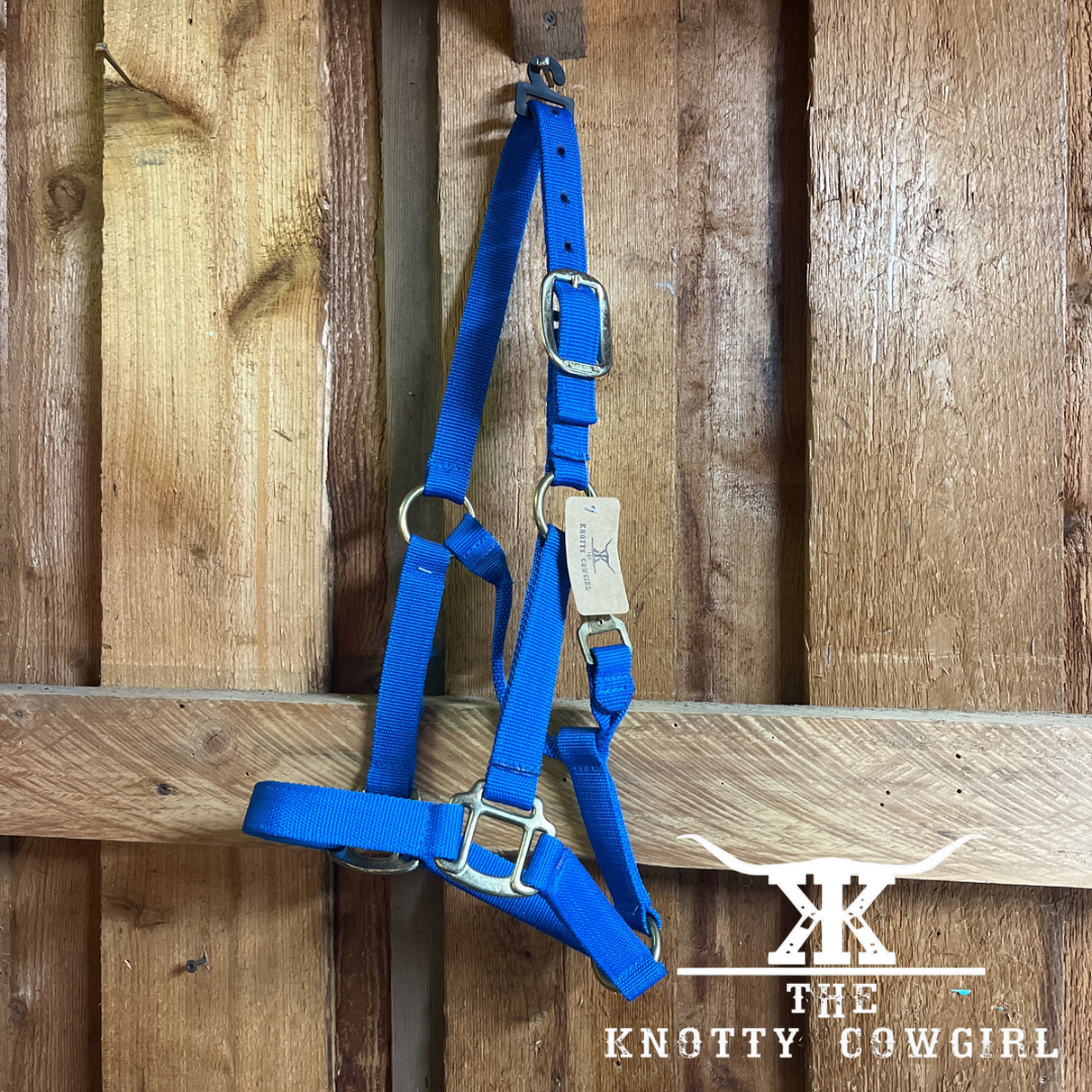 Yearling WRH Halter