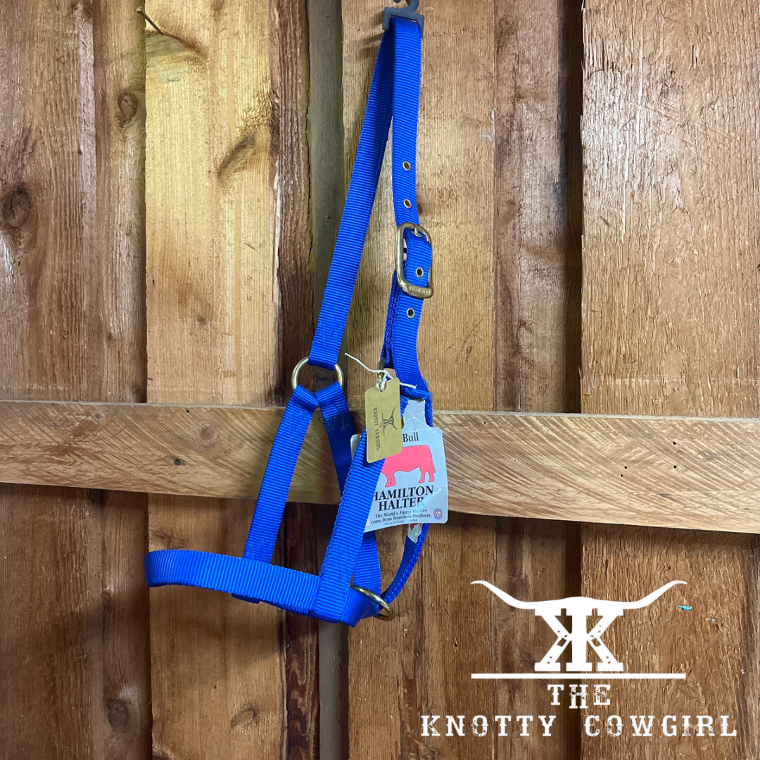 Blue Hamilton Bull Halter