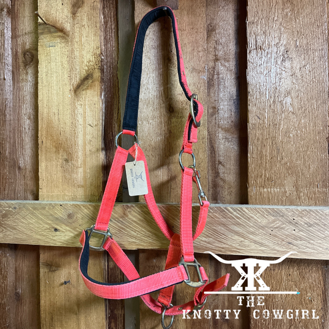 Red/Blk Full Horse Halter