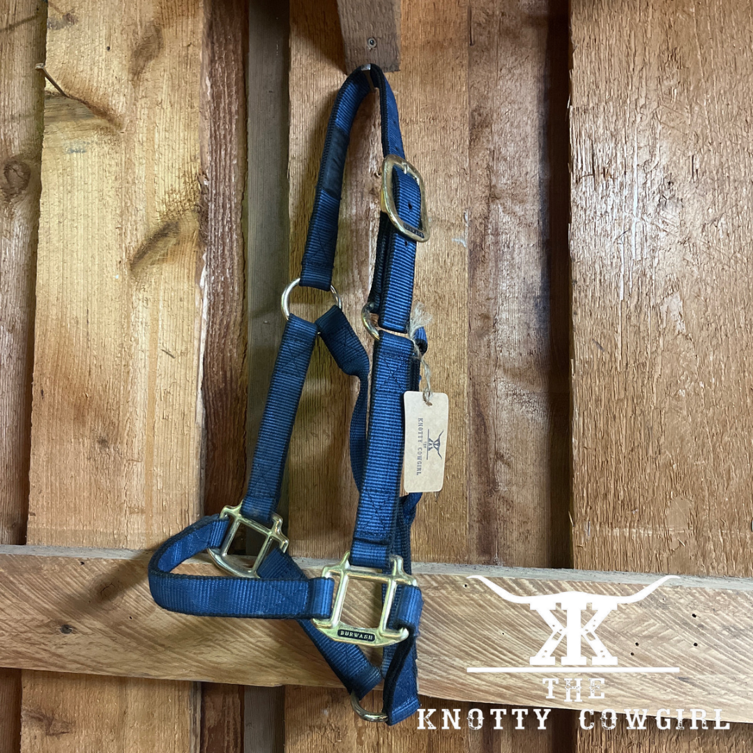 Burgundy Hamilton Yearling Halter