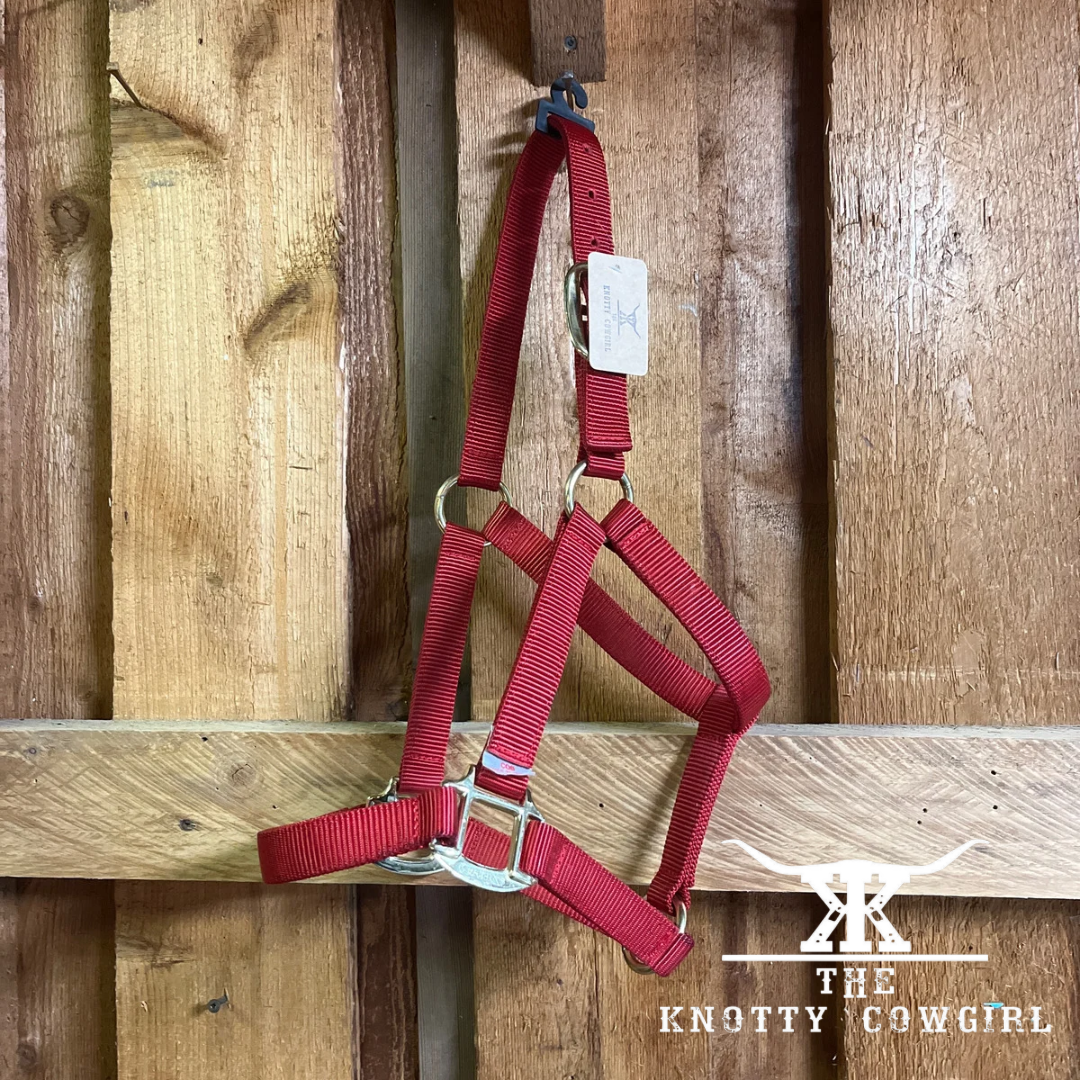 Red Cob WHR Halter