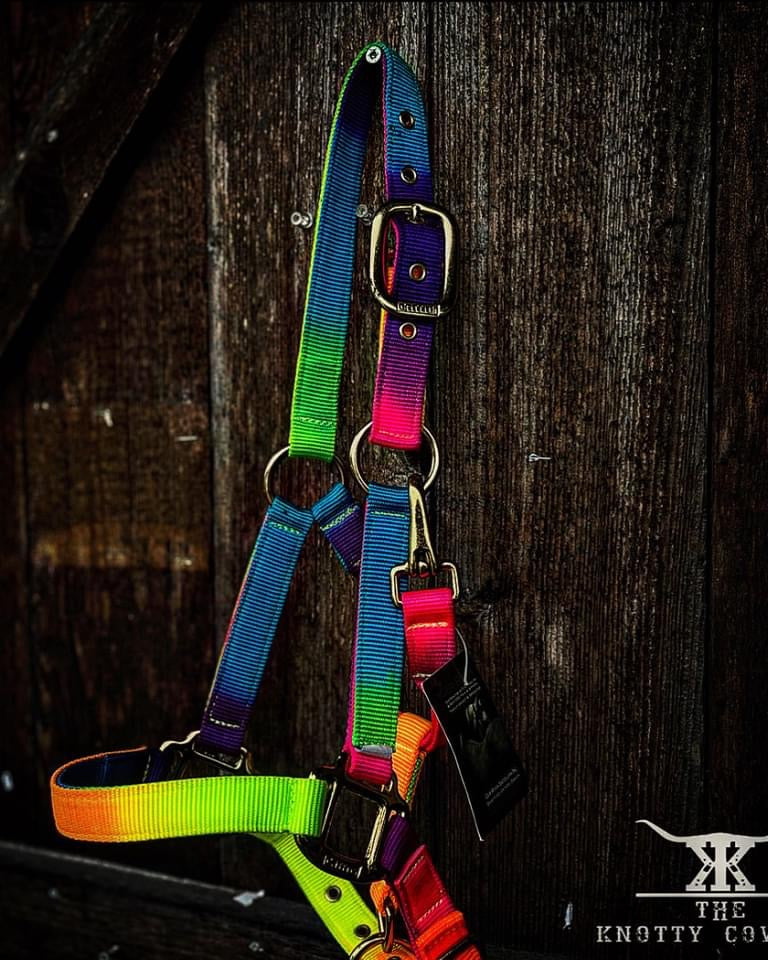 Ger-Ryan Rainbow Pony Nylon Halter