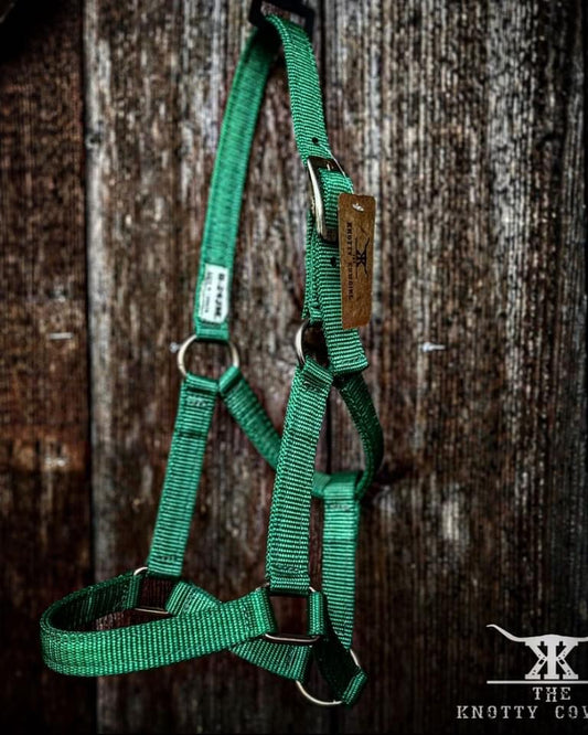 Green Foal Halter