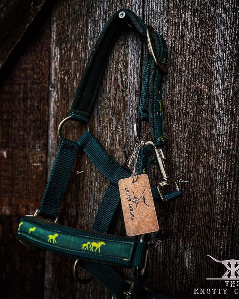 Pony Green/yelow Horse Padded Halter